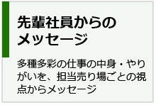 先輩社員からのメッセージ