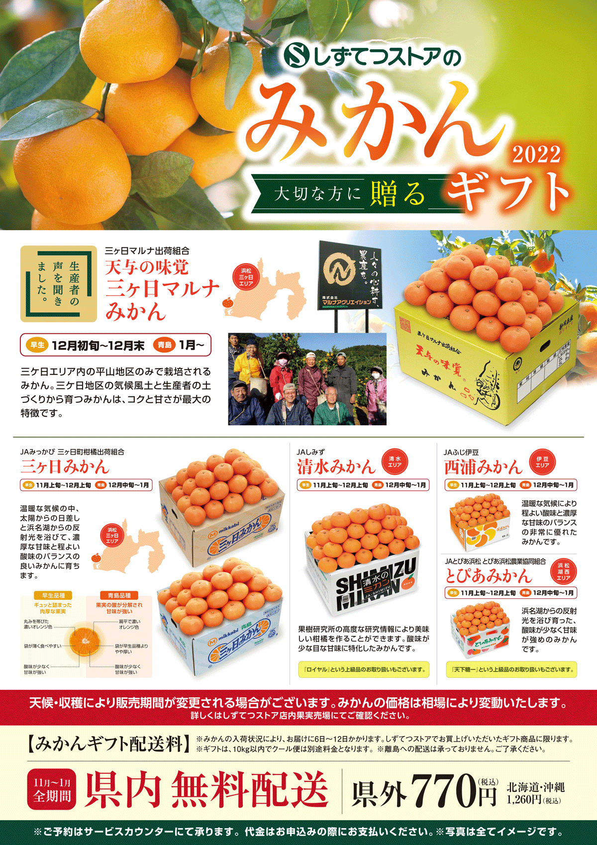 mikan_chirashi